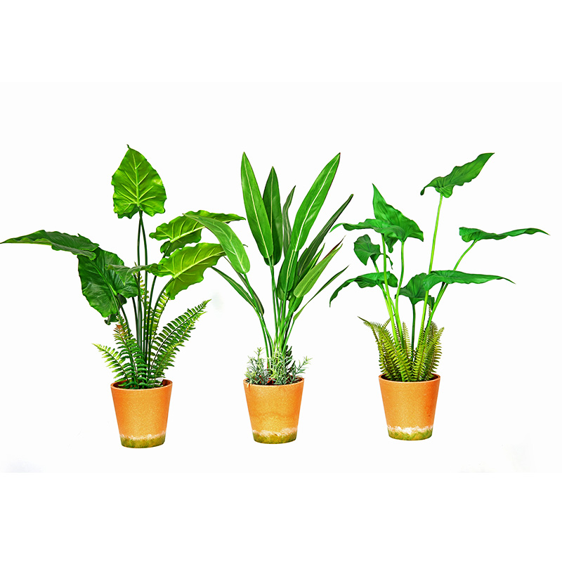 Venda quente fábrica fonte direta verde interior casa ao ar livre decorar planta verde em vaso